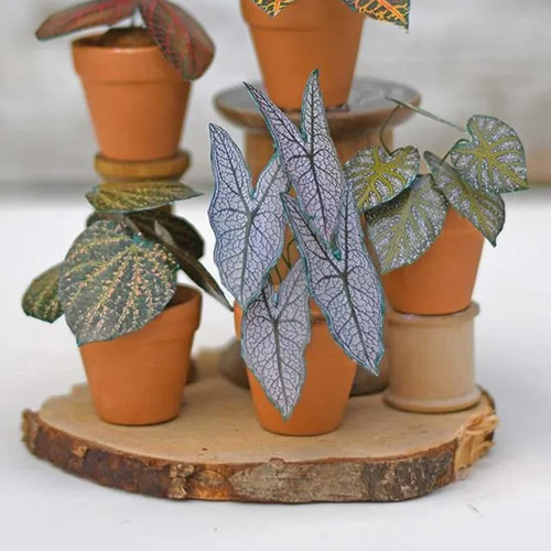 DIY Paper Plants: Mini Tropical House Plants with Free Printables