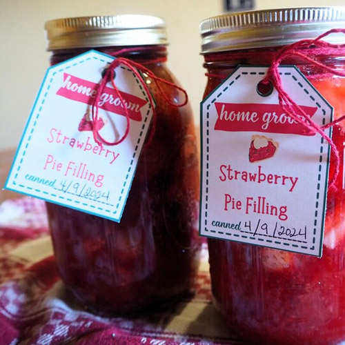 CANNING STRAWBERRY PIE FILLING