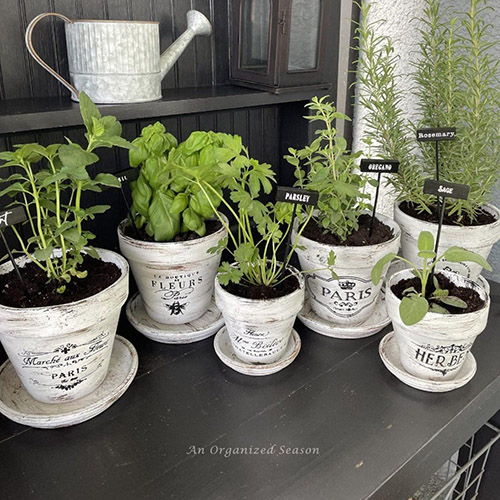 Paint and Stencil French Flower Pots