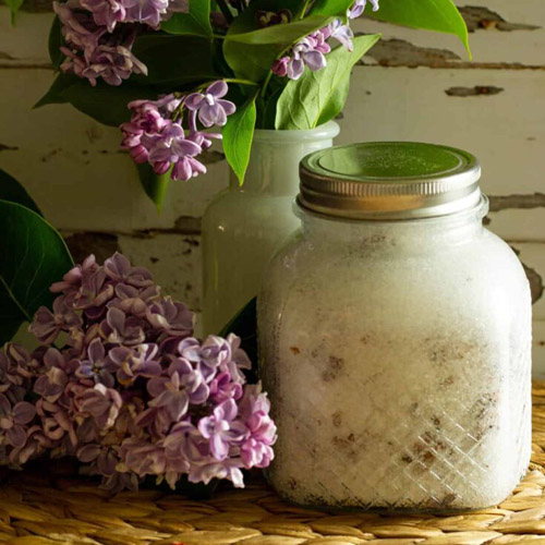 Lilac Sugar